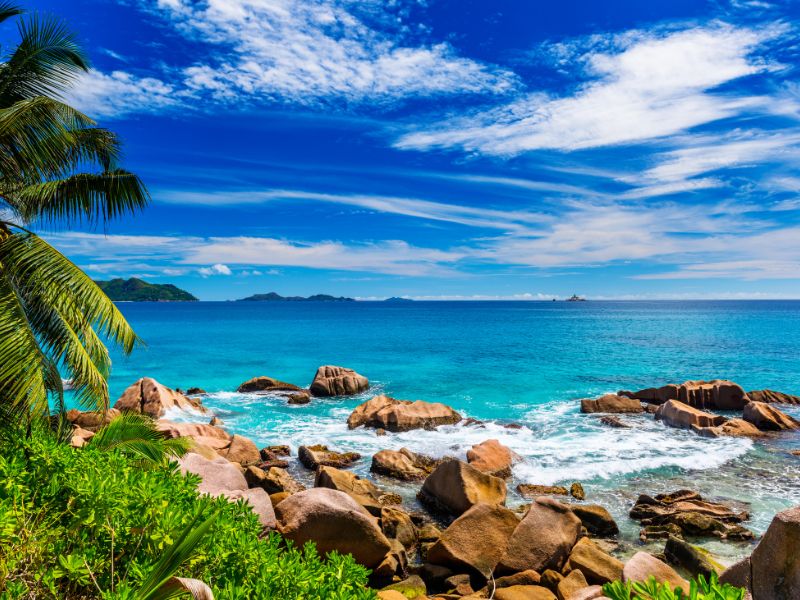 <p>mare - Seychelles</p>